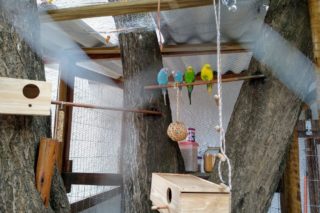 colegio-entrelacar-ensino-infantil-guarulhos (3)