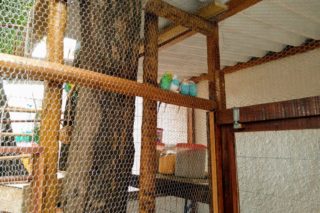 colegio-entrelacar-ensino-infantil-guarulhos (4)